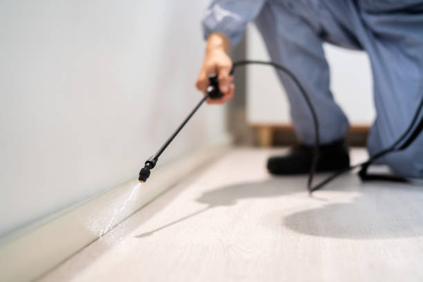 Licensed Termite Control service in Plantation, FL - Nex Pest Control