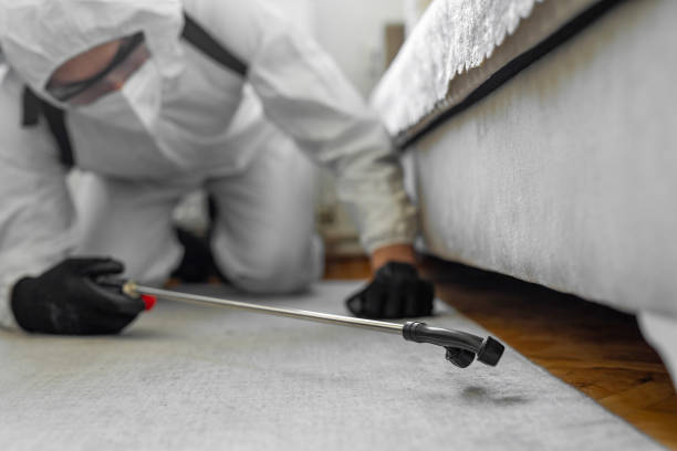 Professional Termite Control technician working in Plantation, FL