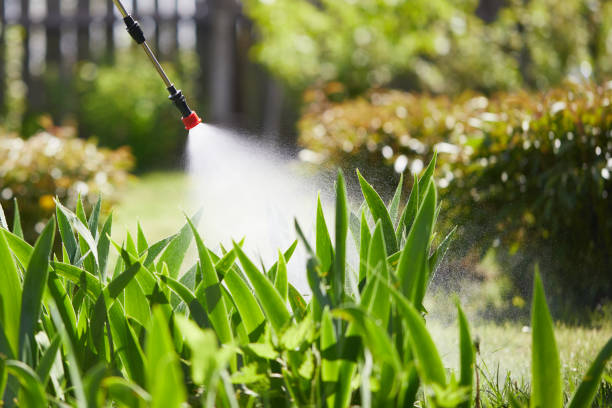 24/7 Emergency Termite Control experts in Plantation, FL