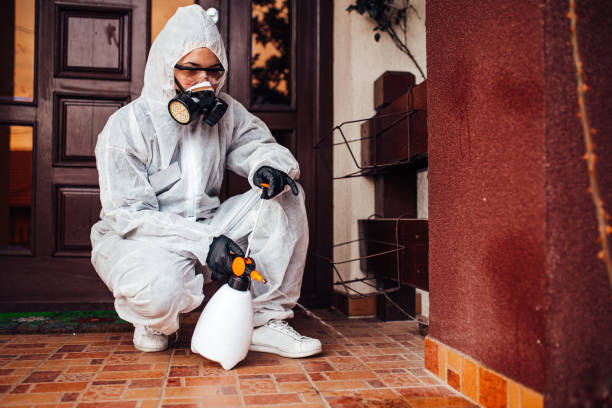 Reliable Termite Control contractor in Plantation, FL by Nex Pest Control